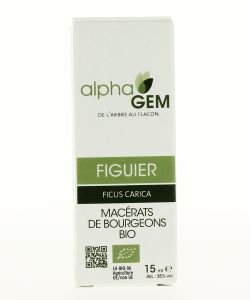 Fig tree (Ficus carica) bud BIO, 15 ml